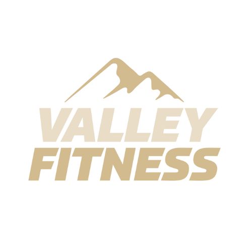 Valley fitness logo on white background